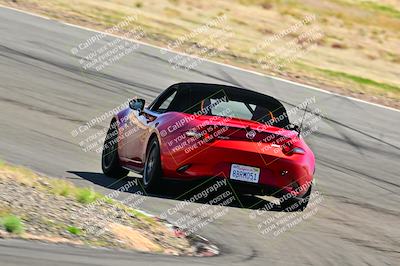 media/Mar-23-2025-West Coast Racing (Sun) [[de161b708f]]/Blue Group/Session 3 (Turns 3 and 5)/